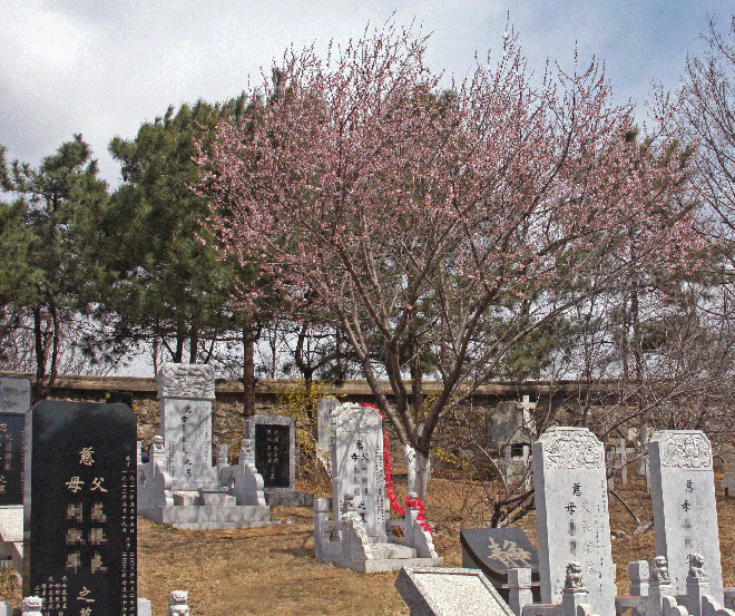 陵园