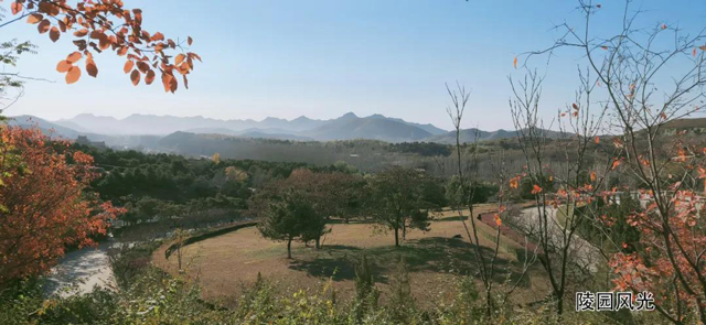 陵园风光.jpg